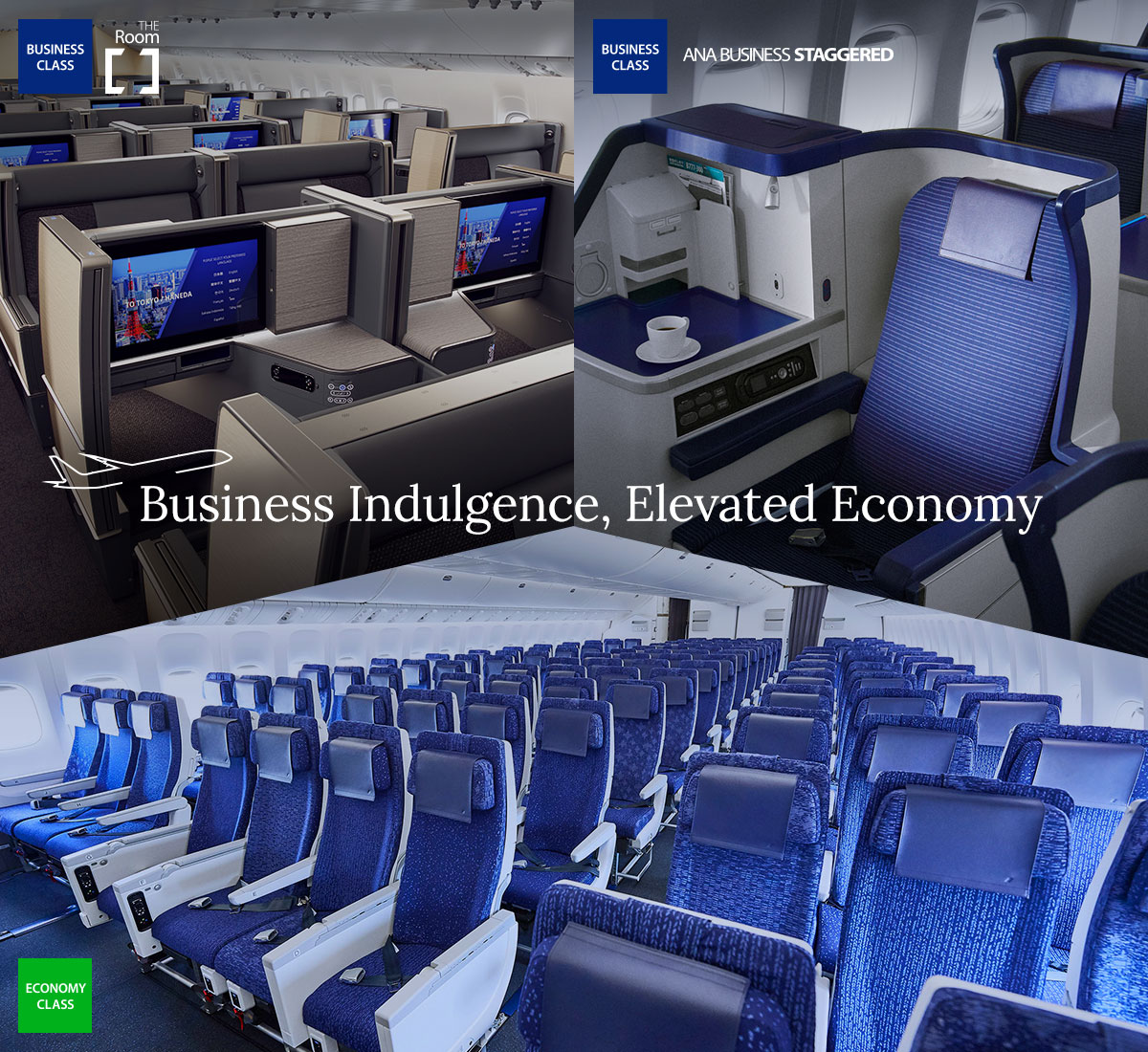 Business Class Indulgence, Elevated Economy Experience